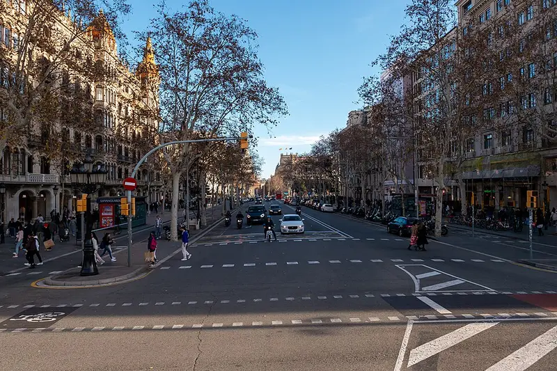 A tree-lined avenue in the Eixample